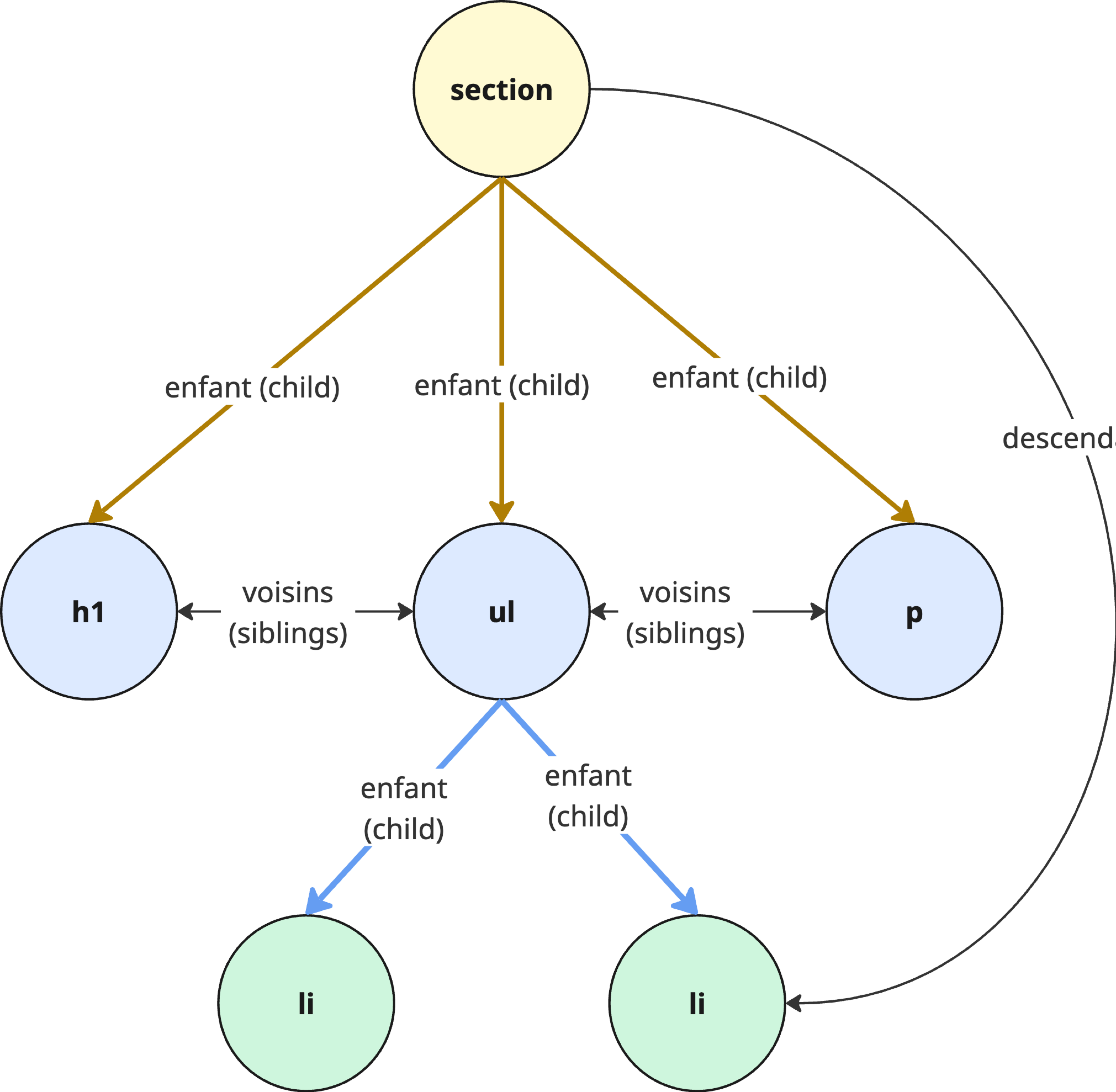 css bas arbre dom combinateurs