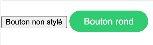 css intro exemple bouton style