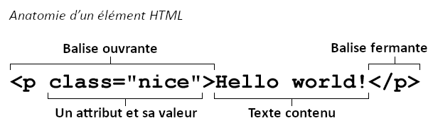 html base anatomie element